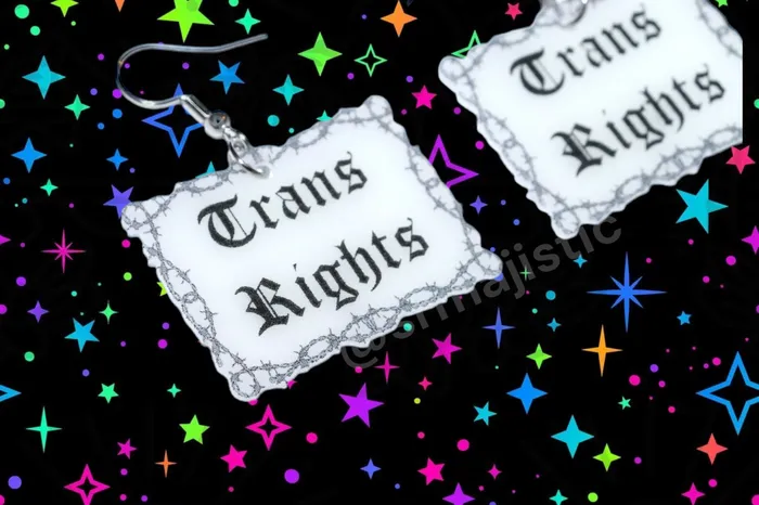 Earrings Sam Makes Things Barbed Wire Gothic Trans Rights Sign Handmade Earrings