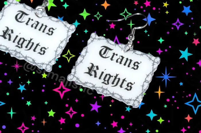 Earrings Sam Makes Things Barbed Wire Gothic Trans Rights Sign Handmade Earrings
