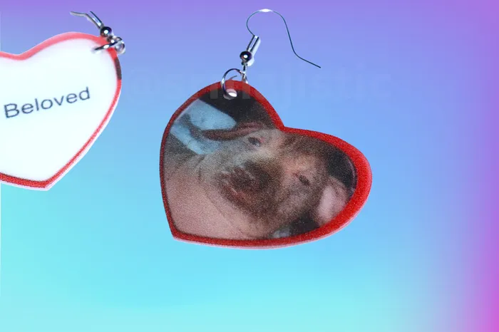 Earrings Sam Makes Things READY TO SHIP My Beloved Character Locket Hearts 2D detailed Handmade Earrings Earrings Sam Makes Things READY TO SHIP My Beloved Character Locket Hearts 2D detailed Handmade Earrings