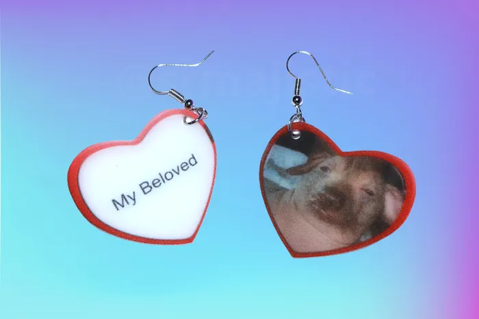 Earrings Sam Makes Things READY TO SHIP My Beloved Character Locket Hearts 2D detailed Handmade Earrings Earrings Sam Makes Things READY TO SHIP My Beloved Character Locket Hearts 2D detailed Handmade Earrings