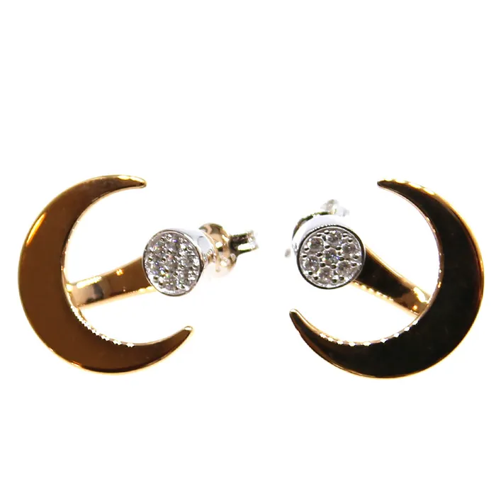 Armani Ladies Earrings Sterling Silver With Zircon TwoColor Rosegold Silver 2 Way Earring Armani Earrings Armani Ladies Earrings Sterling Silver With Zircon TwoColor Rosegold Silver 2 Way Earring Armani Earrings
