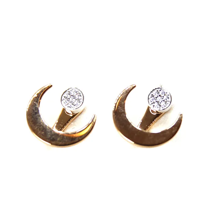 Armani Ladies Earrings Sterling Silver With Zircon TwoColor Rosegold Silver 2 Way Earring Armani Earrings Armani Ladies Earrings Sterling Silver With Zircon TwoColor Rosegold Silver 2 Way Earring Armani Earrings