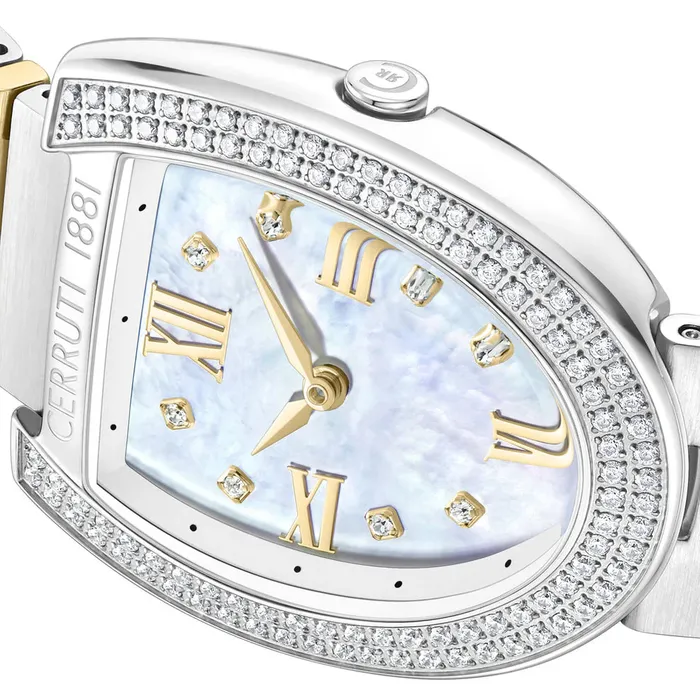 Cerruti Lerici Ladies MOP Dial Stainless Steel Silver Gold Plated Watch Cerruti Earrings