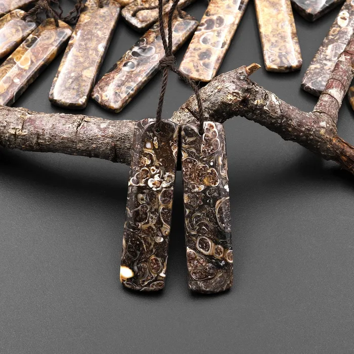 Earrings Natural Turritella Fossil Earring Pair From Wyoming Pair Drilled Long Rectangle Matched Gemstone Bead A2 Intrinsic Trading Earrings Natural Turritella Fossil Earring Pair From Wyoming Pair Drilled Long Rectangle Matched Gemstone Bead A2 Intrinsic Trading