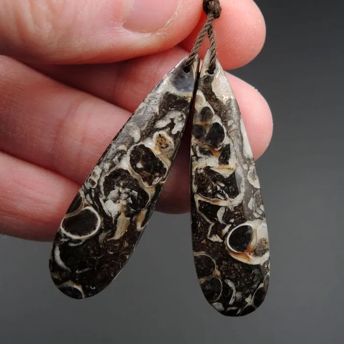 Intrinsic Trading Earrings Natural Turritella Agate Fossil Earring Pair Cabochon Cab Pair Drilled Teardrop Matched Earrings Bead Pair E2438 Intrinsic Trading Earrings Natural Turritella Agate Fossil Earring Pair Cabochon Cab Pair Drilled Teardrop Matched Earrings Bead Pair E2438