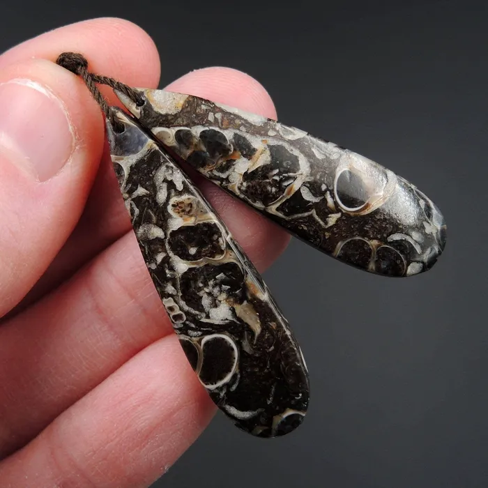Intrinsic Trading Earrings Natural Turritella Agate Fossil Earring Pair Cabochon Cab Pair Drilled Teardrop Matched Earrings Bead Pair E2438