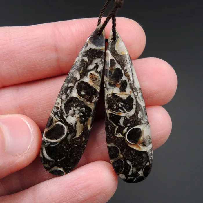 Intrinsic Trading Earrings Natural Turritella Agate Fossil Earring Pair Cabochon Cab Pair Drilled Teardrop Matched Earrings Bead Pair E2438