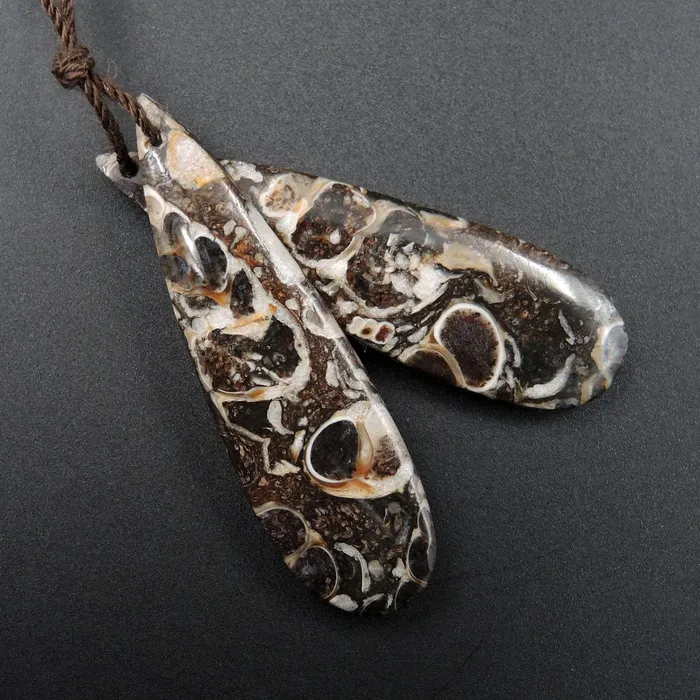 Intrinsic Trading Earrings Natural Turritella Agate Fossil Earring Pair Cabochon Cab Pair Drilled Teardrop Matched Earrings Bead Pair E2438