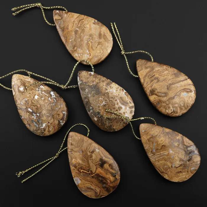 Intrinsic Trading Necklaces Rare Genuine Natural Fossilized Algae Pendant Top Side Drilled Teardrop Gemstone