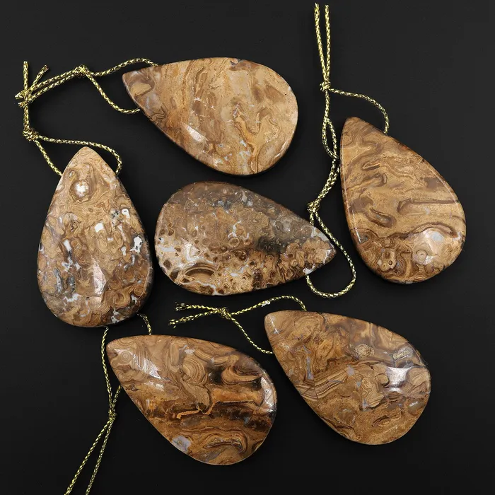 Intrinsic Trading Necklaces Rare Genuine Natural Fossilized Algae Pendant Top Side Drilled Teardrop Gemstone