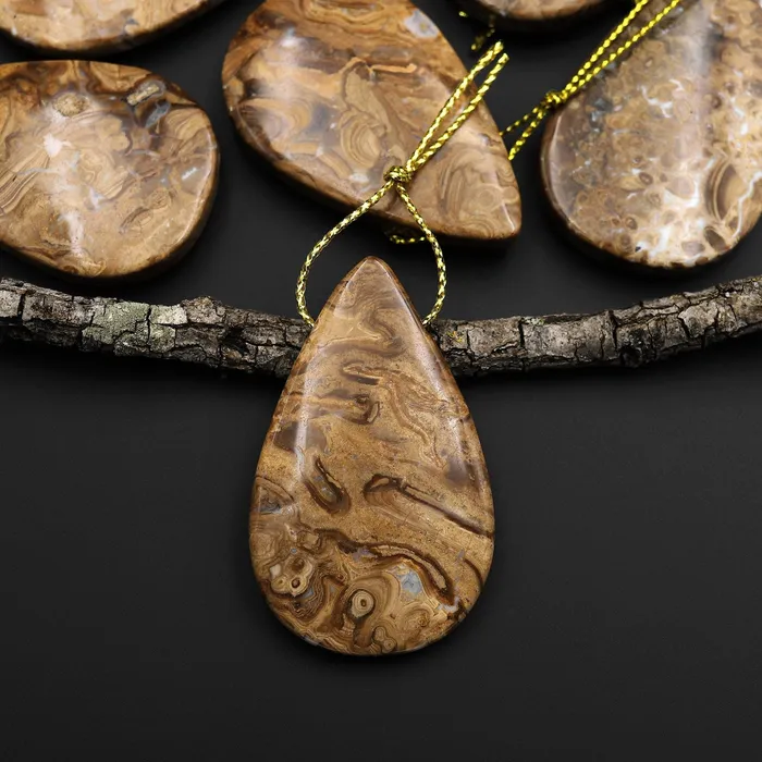 Intrinsic Trading Necklaces Rare Genuine Natural Fossilized Algae Pendant Top Side Drilled Teardrop Gemstone