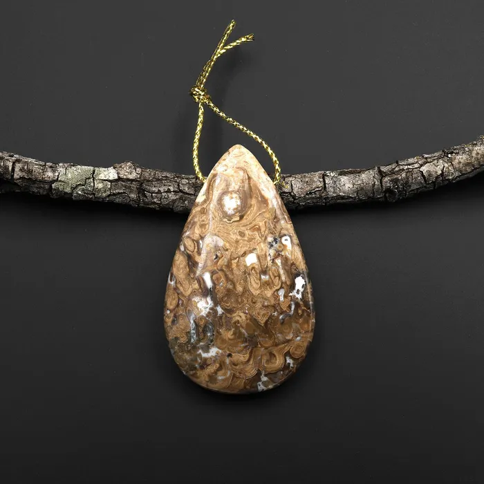 Intrinsic Trading Necklaces Rare Genuine Natural Fossilized Algae Pendant Top Side Drilled Teardrop Gemstone