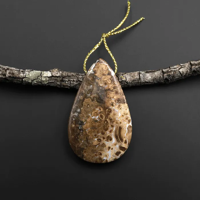Intrinsic Trading Necklaces Rare Genuine Natural Fossilized Algae Pendant Top Side Drilled Teardrop Gemstone