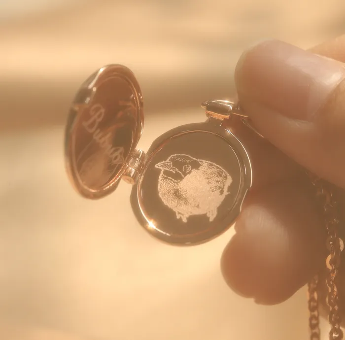Necklaces LOULOUROSE Memento Locket Necklace Necklaces LOULOUROSE Memento Locket Necklace